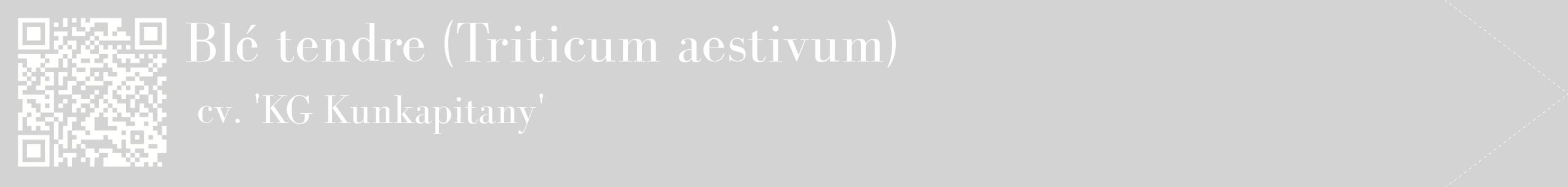 étiquette 2