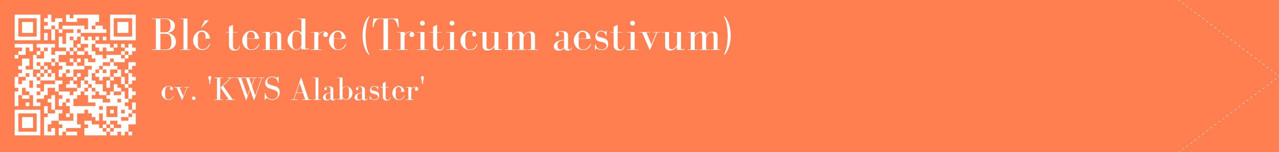 étiquette 2