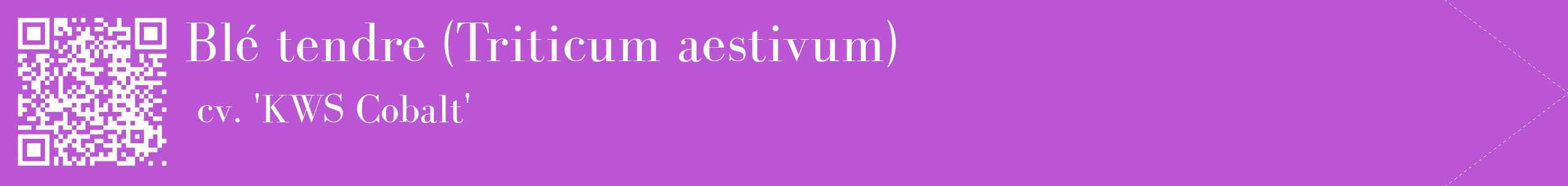 étiquette 2