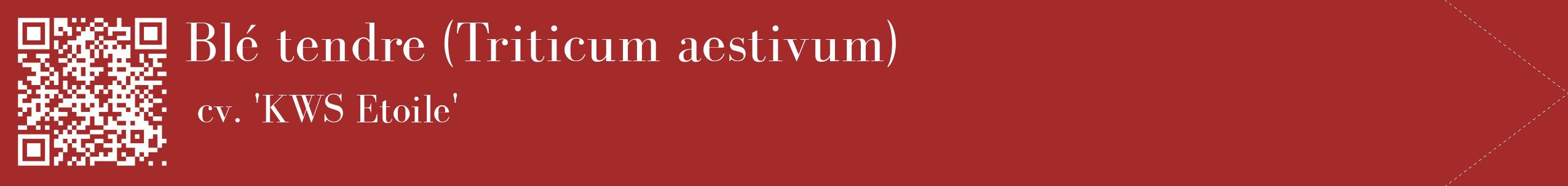 étiquette 2