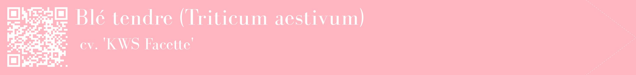étiquette 2