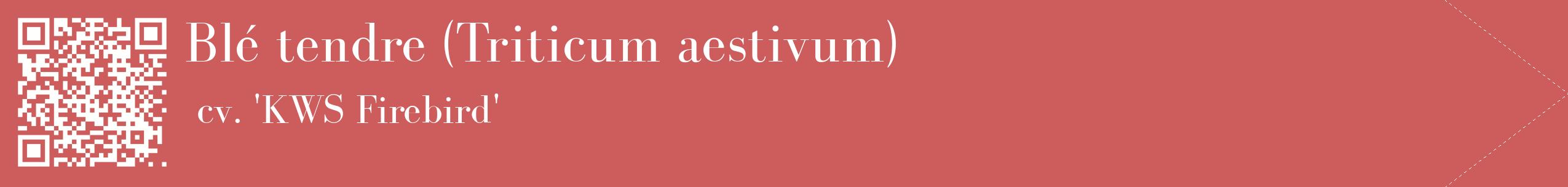 étiquette 2