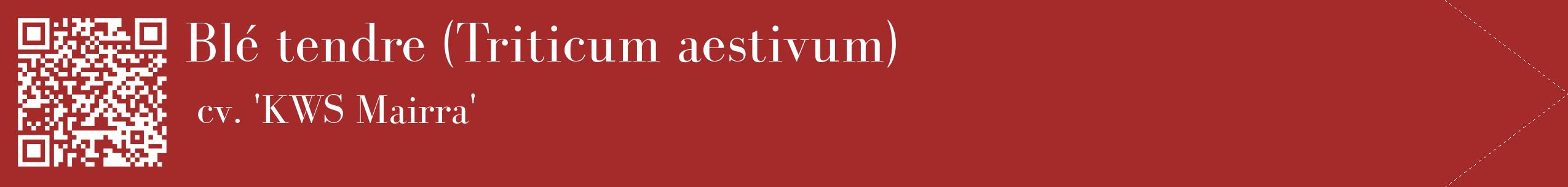 étiquette 2