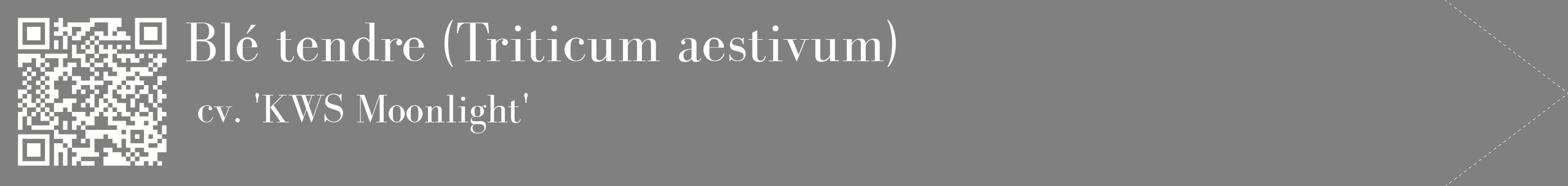 étiquette 2