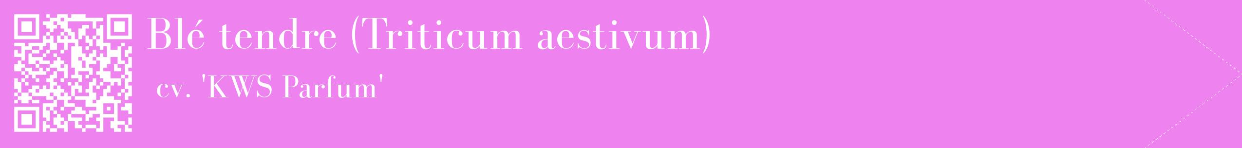étiquette 2