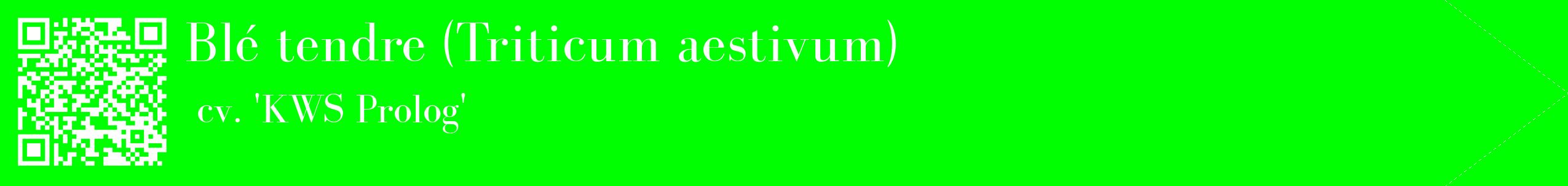étiquette 2