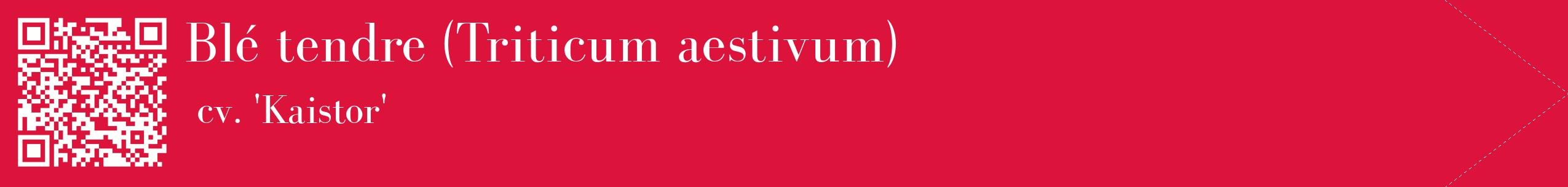 étiquette 2