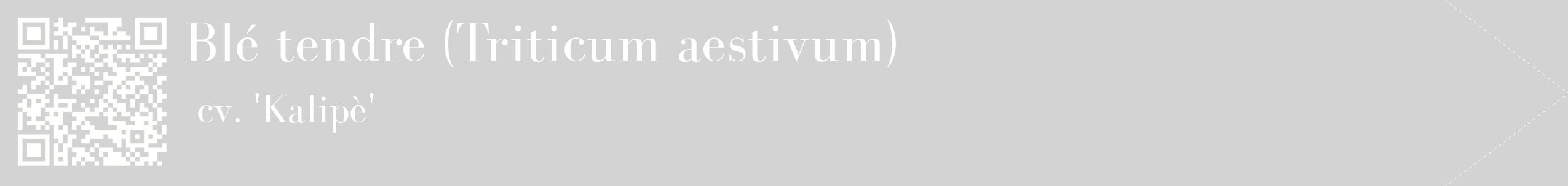 étiquette 2