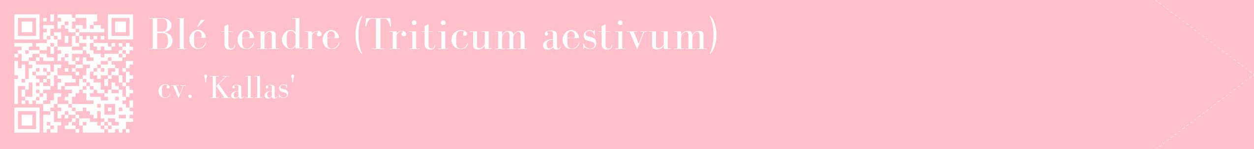 étiquette 2