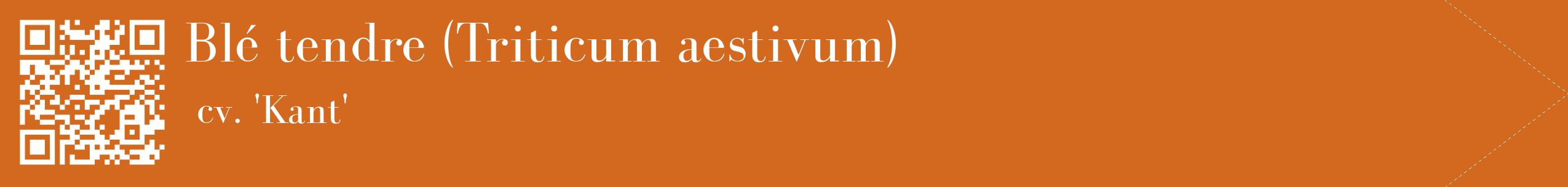 étiquette 2