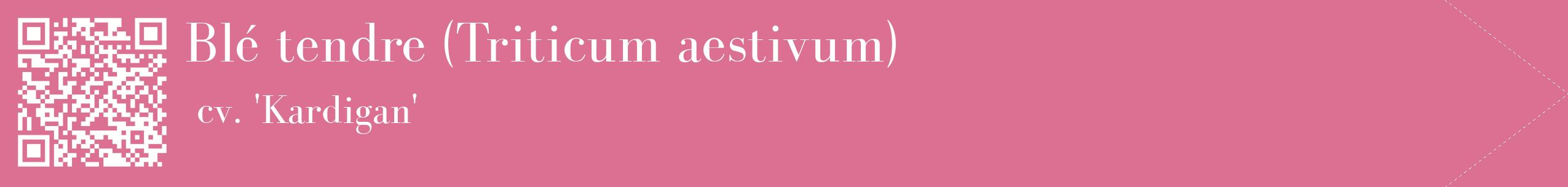 étiquette 2