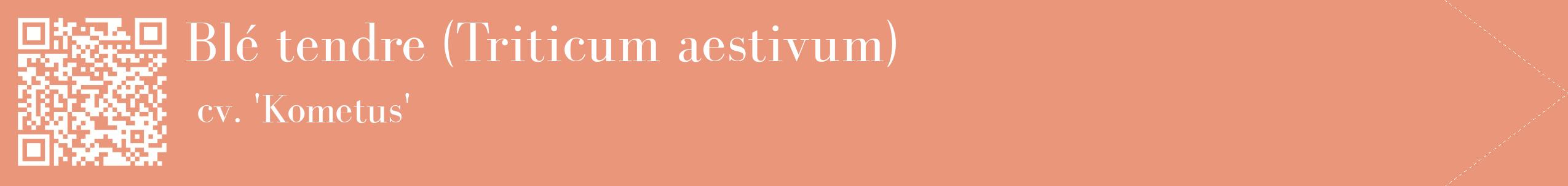 étiquette 2