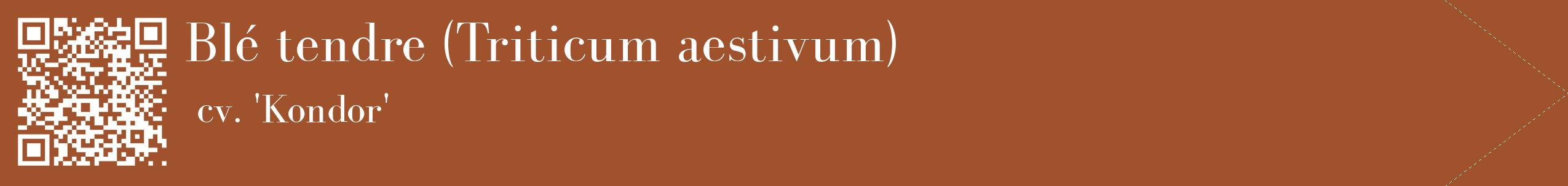 étiquette 2