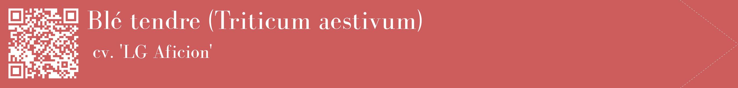 étiquette 2