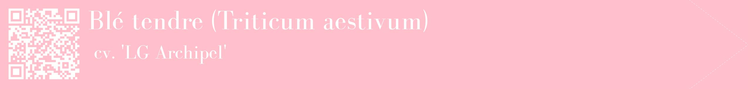 étiquette 2