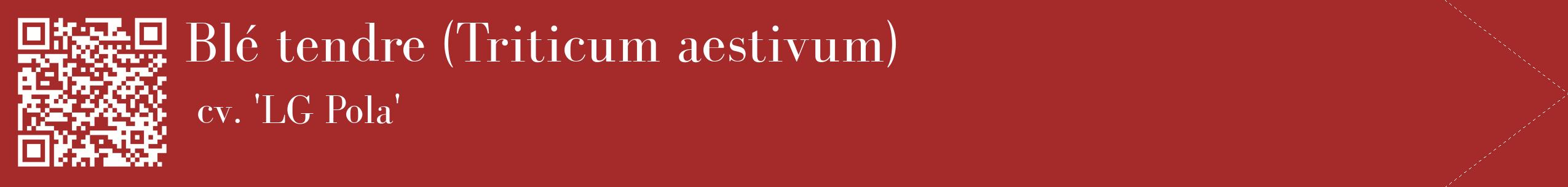 étiquette 2
