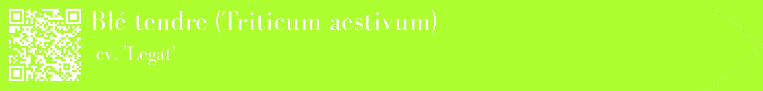étiquette 2