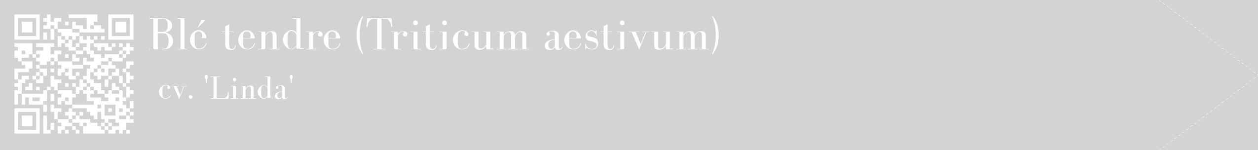 étiquette 2