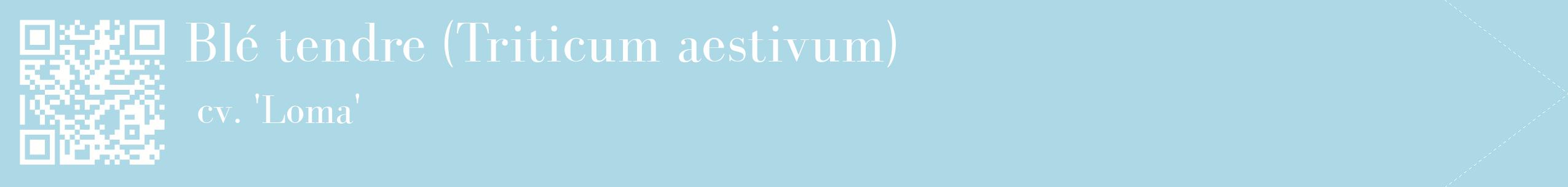 étiquette 2