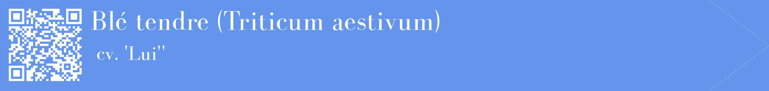 étiquette 2