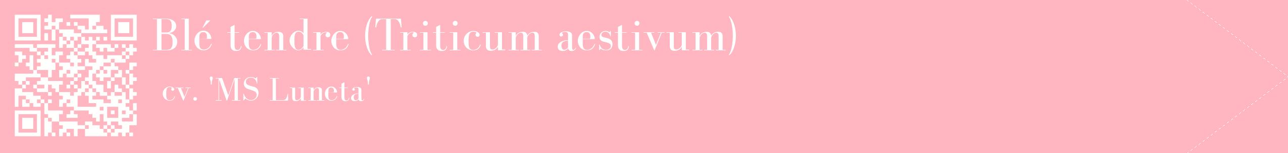 étiquette 2