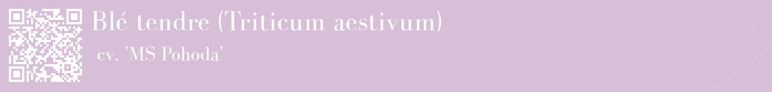 étiquette 2