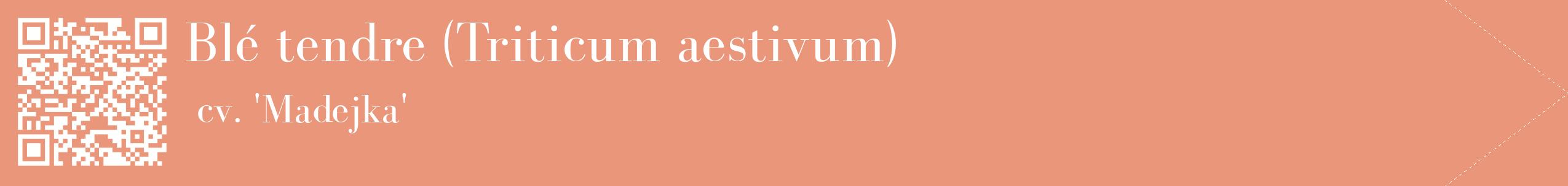 étiquette 2