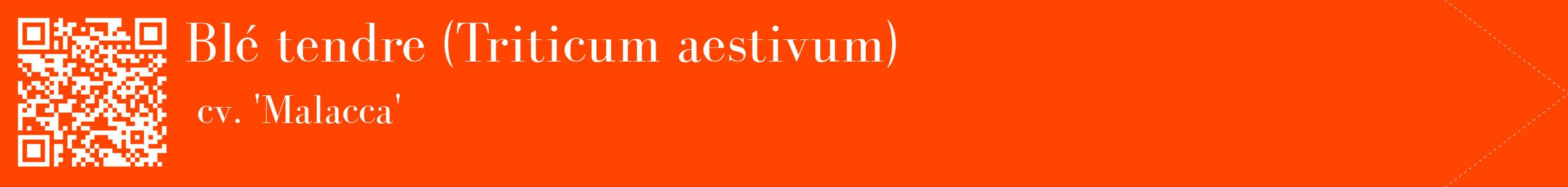 étiquette 2