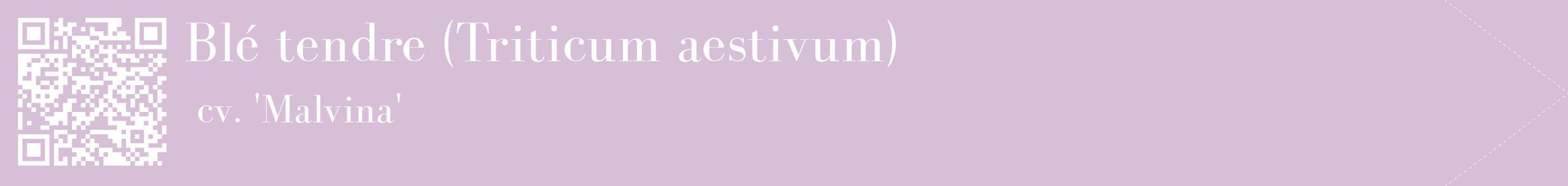 étiquette 2