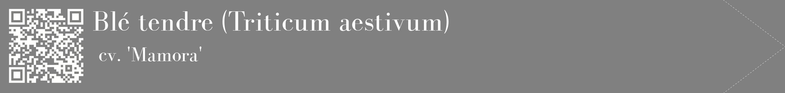 étiquette 2