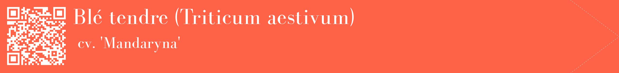étiquette 2
