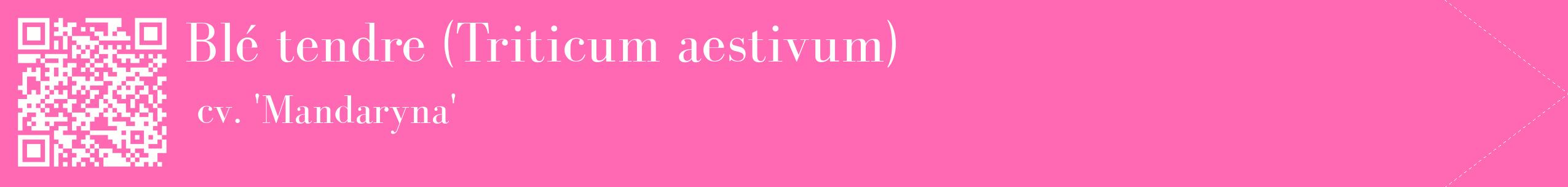 étiquette 2