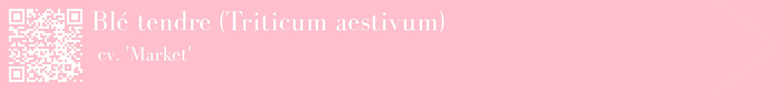 étiquette 2