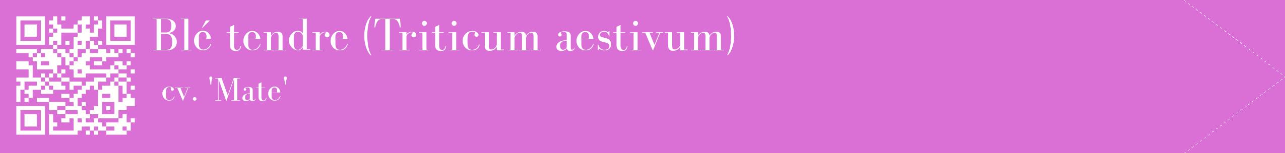 étiquette 2