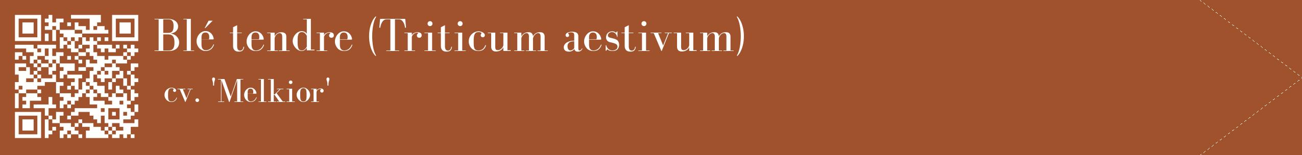 étiquette 2