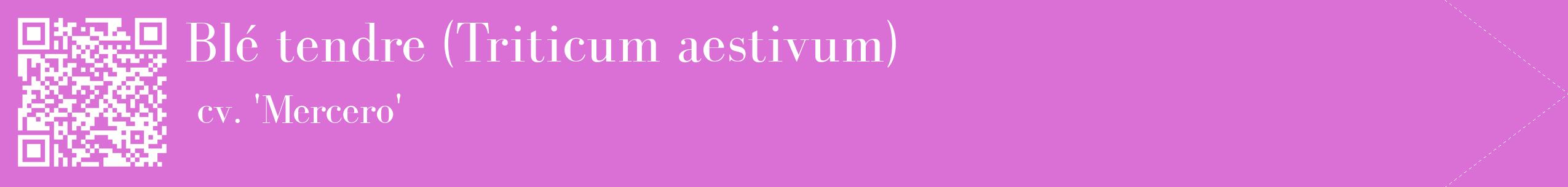 étiquette 2