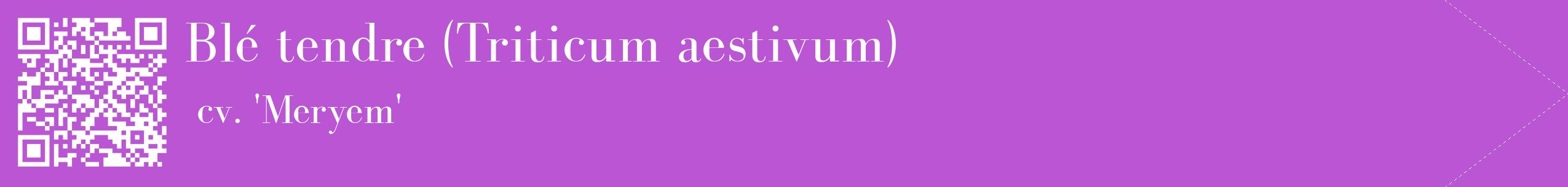 étiquette 2