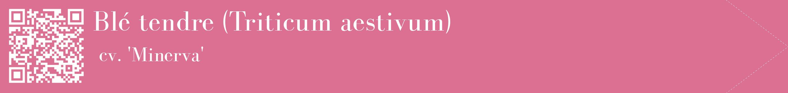 étiquette 2