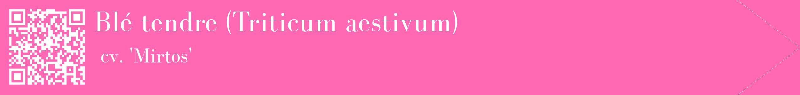 étiquette 2