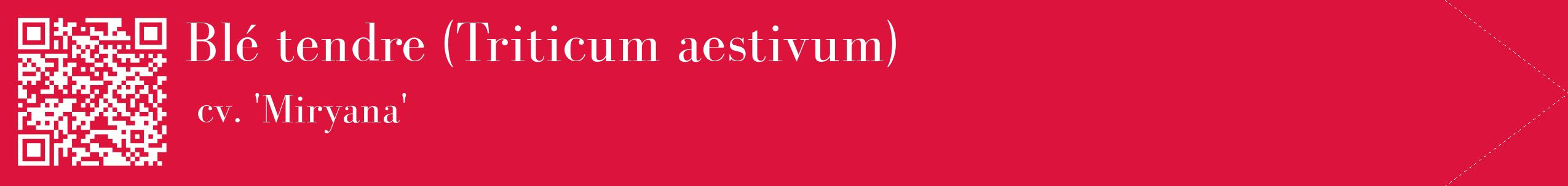 étiquette 2