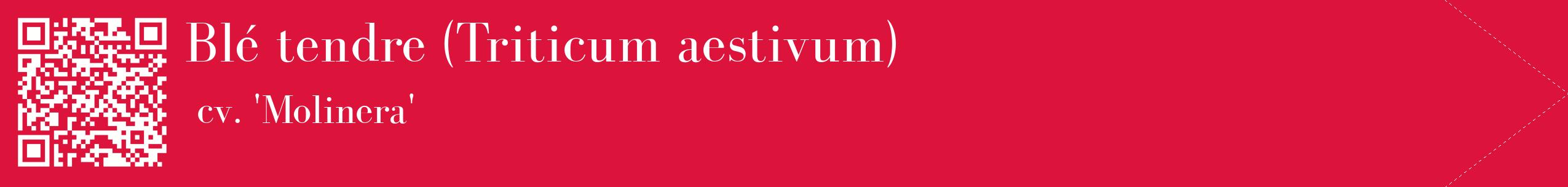 étiquette 2