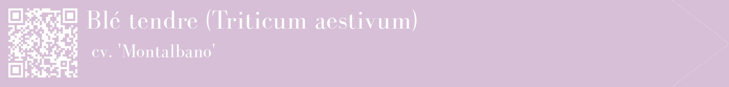 étiquette 2