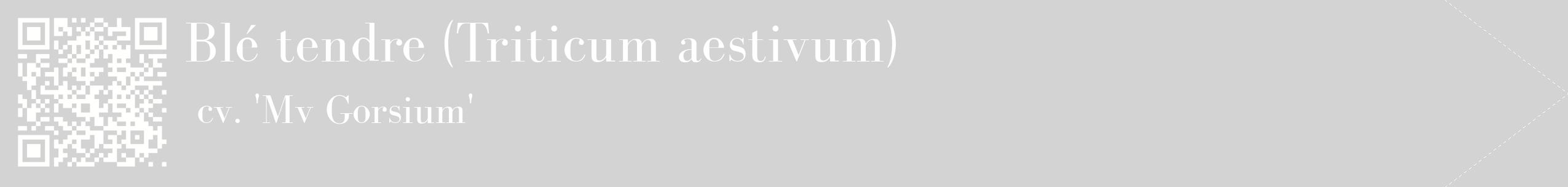 étiquette 2