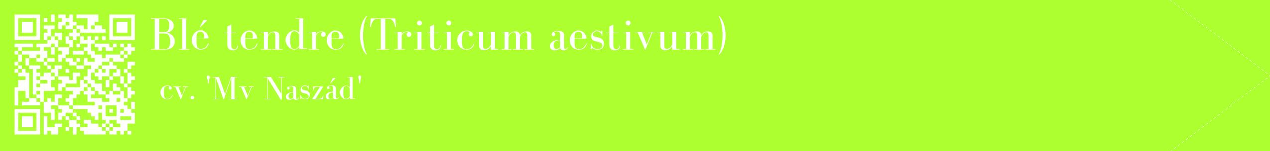 étiquette 2