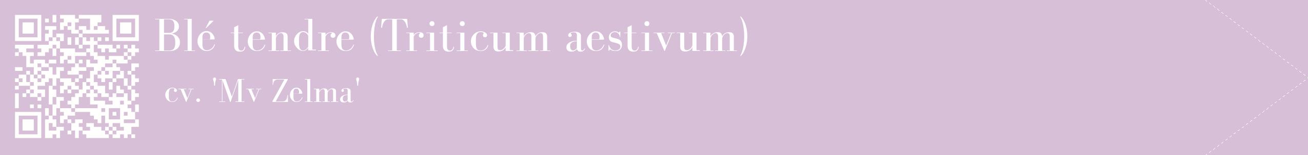 étiquette 2