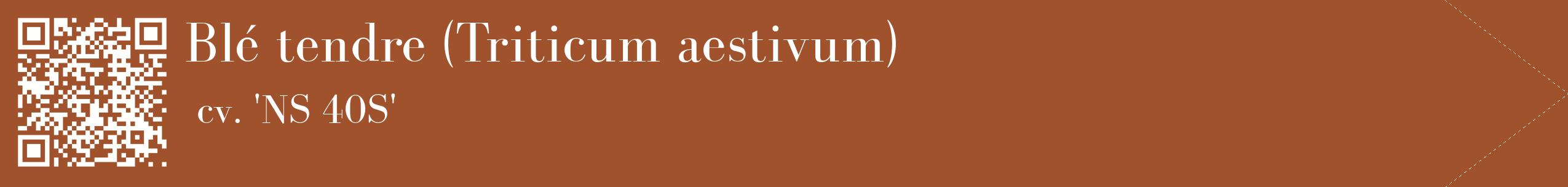 étiquette 2