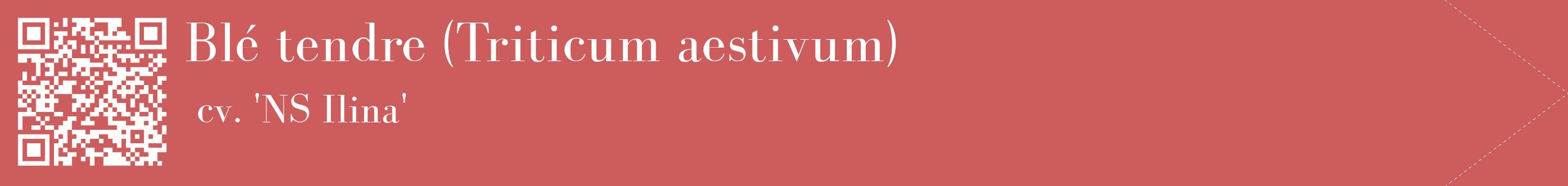 étiquette 2