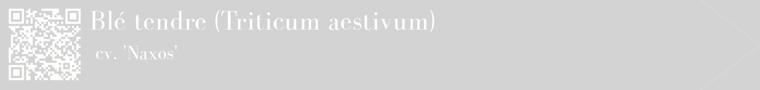 étiquette 2