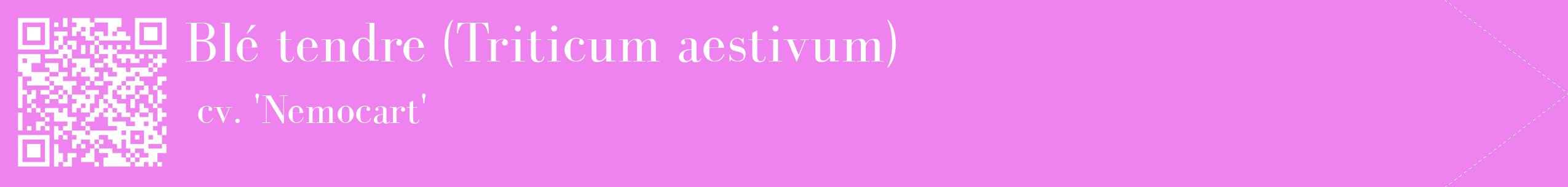 étiquette 2