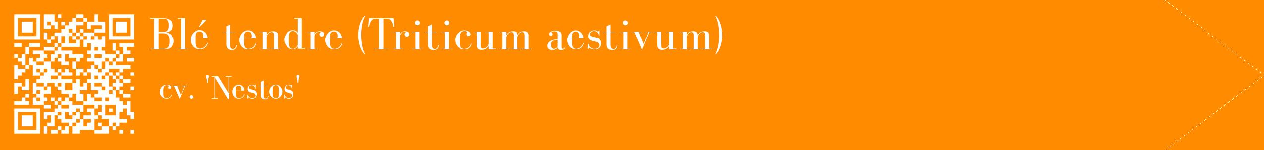 étiquette 2